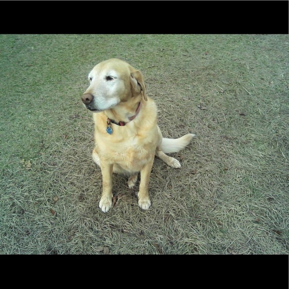 Meet your Posher, CD - Picture 1 of 1